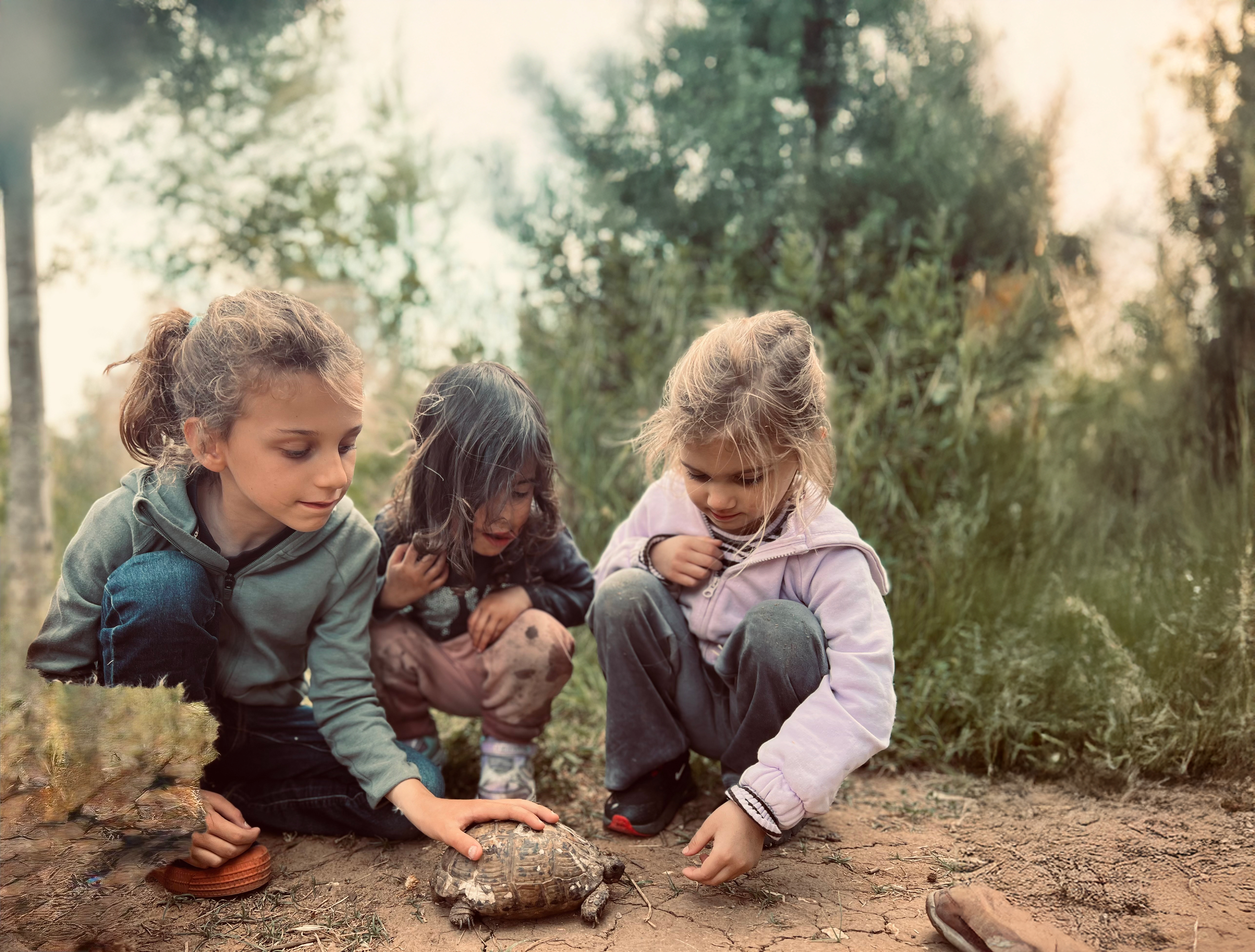 חיות בטבע — ילדי החורש